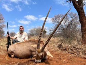 gemsbok