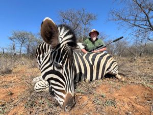 zebra