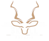 skul safaris logo
